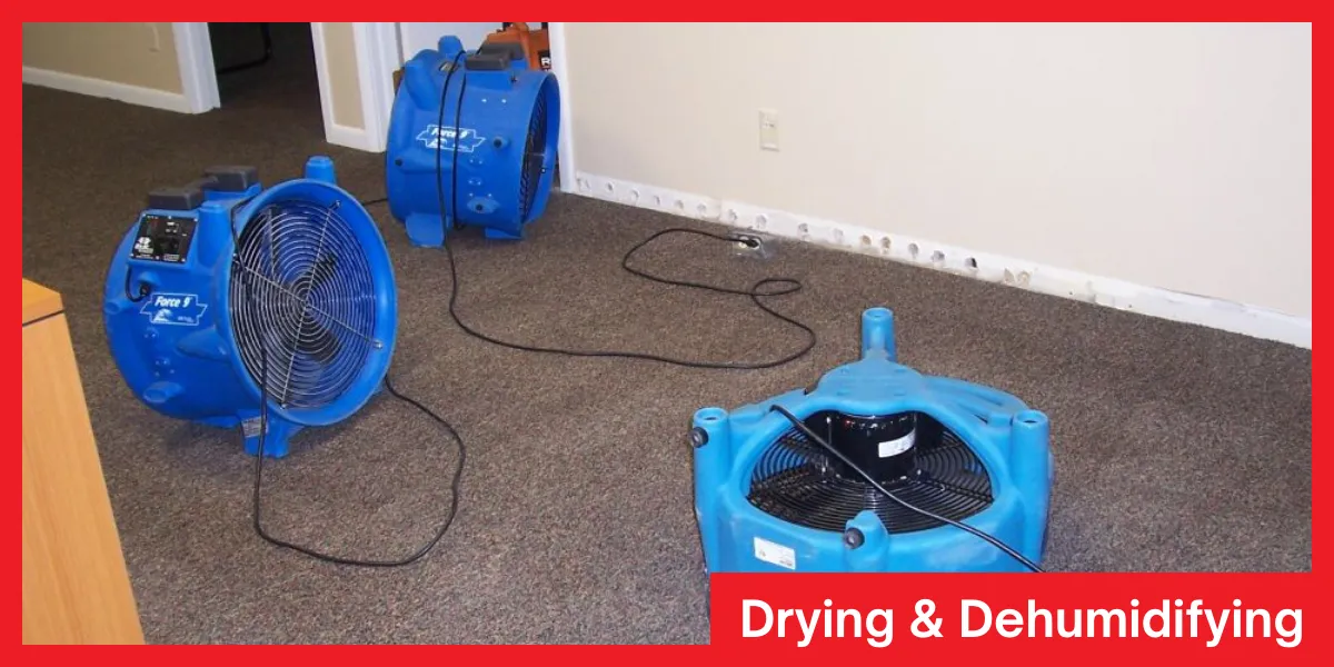 Drying Dehumidifying Blue air movers positioned on a carpeted floor to dry and dehumidify the area after water damage.