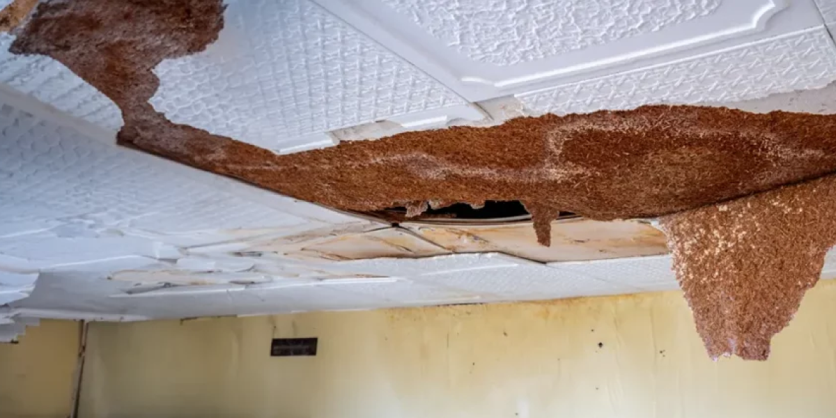 Remove the Damaged Material Remove the Damaged Material