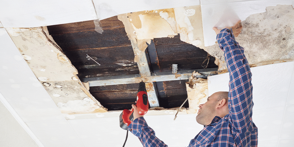 Repair the Ceiling Repair the Ceiling