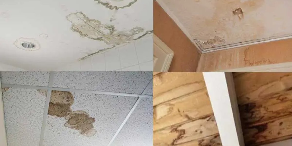 Signs of a Water Damaged Ceiling Signs of a Water-Damaged Ceiling